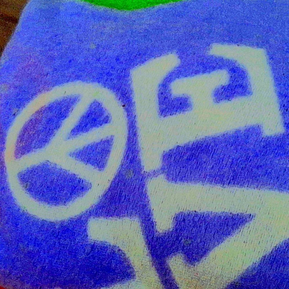 The Snuggie! (As seen on TV)